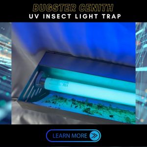 Universal Glue board by 6s per pack