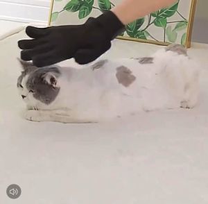 Pet Grooming Glove Gentle Deshedding Brush Glove Efficient Pet Hair Remover Mitt Enhanced Five