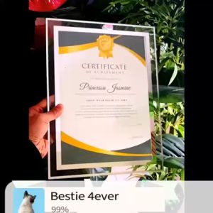 TRENY Crystal License Authorization Glass Photo Frame / Glass Crystal Photo Frame Decoration Table A4 Letter of Honor Certificate Frame