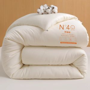 Warm Thick Four Seasons Cotton Quilt