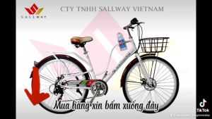 ( Free ship toàn quốc ) Xe đạp nữ đề tay vặn 7 tốc độ hàng Việt Nam cao cấp - xe mẫu mã đẹp chất lượng cao