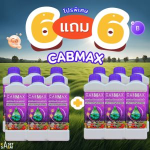 ฟรีเสื้อ 1 ตัว CABMAX 6แถม6 แคลเซียมโบรอน สูตรเข้มข้น เร่งดอก เร่งผล ติดดก เสริมขั้วเหนียว จัดส่งฟรี