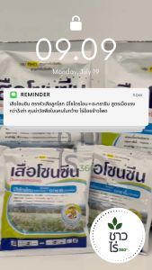 เสือโซนซีน 1 กิโลกรัม *ถูกที่สุด* ตราหัวเสือลูกโลก มีโซไตรโอน 8% + อะทราซีน 80.8% WG สูตรเม็ดแรงกว่า 3 เท่า คุมและฆ่าวัชพืชใบแคบ ใบกว้าง ไร่อ้อย ไร่ข้าวโพด หญ้าแห้วหมู หญ้าตีนติด หญ้านกสีชมพู ผักเบี้ยหิน หญ้าปากควาย คุมฆ่าหญ้าในข้าวโพดอ้อย