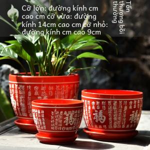 Large Size Ceramic Flower Pot with Tray: A Guide to Chinese Style & Creative Designs