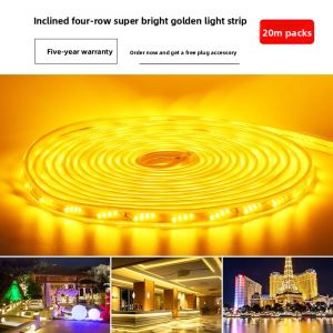 PAIMIJI | Super Bright Waterproof LED Strip Light 220V