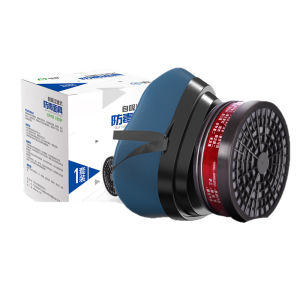 Dust and Fume Protection Mask