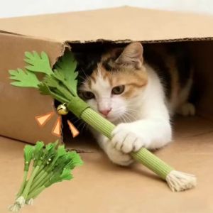 Cat Chew Toys Catnip Cat Teeth Cleaning Toy Interactive Self Playing Catnip Molar Stick Toys Bite Squeaky Cat Toy