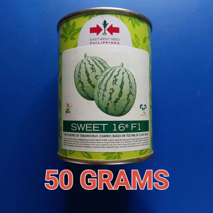 Pakwan Sweets Sweet 16 F1 (50 grams) Hybrid Watermelon / Pakwan by East West Seed ...
