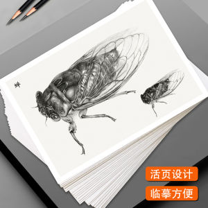 การฝึกวาดภาพสัตว์ประหลาดสุดน่ารักแบบละเอียดสูง ชุด 32 ใบ สำหรับเด็กและเยาวชน วัสดุกระดาษปมไม้ ขนาด 32K