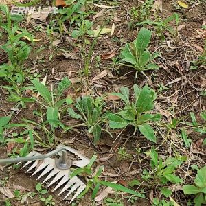 2 In 1 33cm Tiger Handle 11 Teeth Weeders Manganese Steel Dual Purpose Weeder