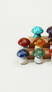 1 PC Tự Nhiên Pha Lê Chip Nhựa Nấm Orgone Đá Chữa Bệnh Mini Hình Tượng Cho Máy Tính Để Bàn Bàn Thờ Trang Trí Phong Thủy Lấy Cảm Hứng Từ Quà Tặng