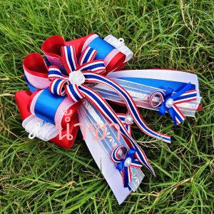 เน็ตผมเน็ตผมลายธงชาติ เน็ตผมพร้อมส่ง สินค้างาน DIY งานสวยๆ