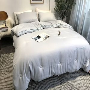 Ultra นุ่ม ฤดูใบไม้ร่วง ฤดูหนาว Quilt Duvet Core Two-in-one Cloud นุ่ม น้ำหนักเบา Fluffy Three-dimensional Quilting Single Double Bedding