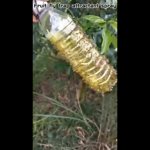 Fruit fly trap Attractant spray 450ML Supernet insect trap Rain-proof Fly trap killer