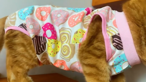 V-0025 Cat Sterilization Surgery Recovery Suit