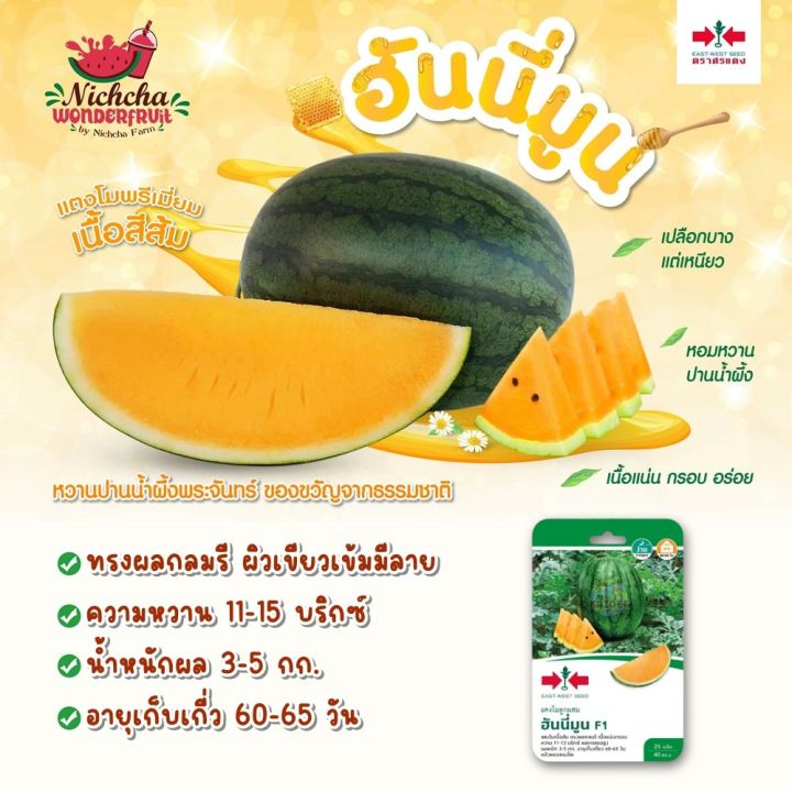 เมล็ดพันธุ์แตงโม ฮันนี่มูน F1 ศรแดง เนื้อส้มหวาน