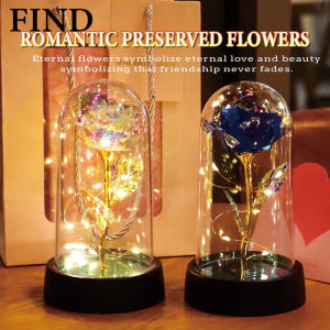 FIND 【With Box】Eternal Galaxy Rose Flower LED Light Plastic Dome Valentine Gift Teachers day gift