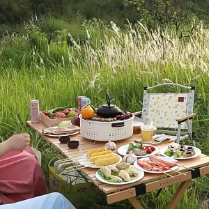 【New Arrival】 Round Barbecue Stove with Steel Grill Rack Portable Removable Grilling Net Charcoal Oven for Home Party Outdoor Camping