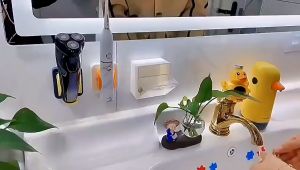 Multifunctional Transparent Plastic Wall Storage Boxes: The Ultimate Solution for Small Objects