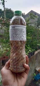 Biang jakaba 600ml kemasan super full biang spora