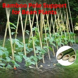 MONLEYTA | Bamboo Plant Climbing Support Rack