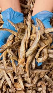 Abang Furry • 100% Fresh & Healthy Homemade Freeze Dried & Baked Pet Food Meat Pet Treat Pet Booster for Cat Dog  Natural Molar Pet Food ! 🐶😽 100% 全天然无添加防腐剂冻干 & 风干宠物猫狗食物零食 猫料狗料!