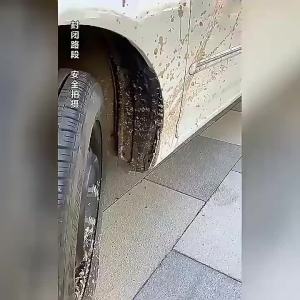 10/50pcs 6mm Motor NMAX MIO Fastener Clips Car Body Retainer Rivet Door Auto Panel Fender Bumper Trim Plastic Universal