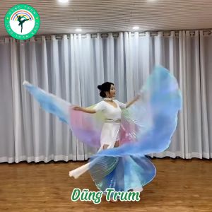 Cánh múa belly dance 3 màu cánh múa bụng biểu diễn