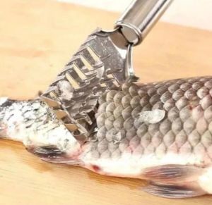 Alat pembersih sisik ikan bahan stainless pengupas sisik scale