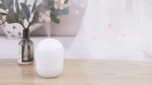 Máy Xông Tinh Dầu Mini Phun Sương Khuếch Tán Tinh Dầu Tỏa Hương Thơm Dùng Cho Phòng Ngủ Và Trong Xe Hơi Khử Khuẩn