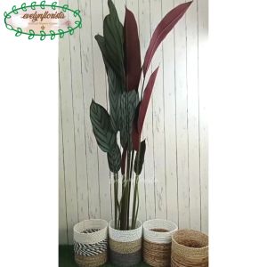 Pohon Artificial Daun Calathea Ungu T150 Latex Pot Dasar Hitam Cover Anyaman Seagrass Hiasan Ruang Tamu