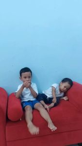 (HARGA TERMURAH) DESLA (Cessa Alternatif) FD Fever Drop Untuk Demam 10ML - Essential Oil Bayi