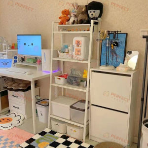 Nordic Minimalist Shelf & 4 Tier Book Organizer: A Comprehensive Guide