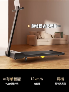 Folding Treadmill Mini Running Walking Pad Home Gym Foldable Treadmill