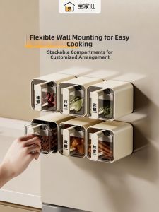 BAOJIAWANG | Magnetic Spice Organizer Container