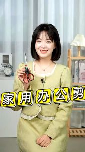 Stainless Steel Scissors: A Versatile Paper Cutting Tool