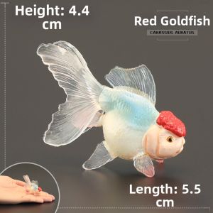 MENGSILE | Solid Educational Childrens Animal Model Red Cap Goldfish Ornamental Fish Toy