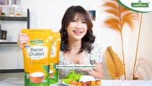 WellFarm Beras Diabetes Organik 2Kg Spesial Bundle | Low Gi Sugar Free White Rice