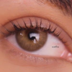 【COD&24 Jam Dikirim】 eyeshare softlens minus (-1.00 s/d -8.00) soflen minus OMG series softlens Korea Bestseller diameter 14.0 MM soflens murah