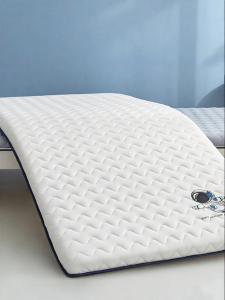 NAIYOUCHENG | Dual Season Bed Mat for Student Dorms Rentals Homes