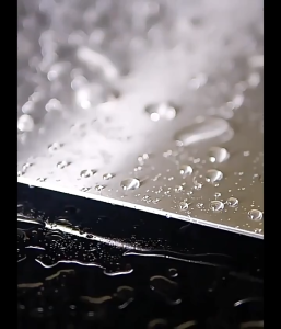 【Local Shipping】Titanium Cutting Board 100% Pure Taima Titanium for Kitchen Use Food Grade 304 Stainless Steel Durable & Hygienic Perfect for Meat Fruit Vegetables (34x23cm)