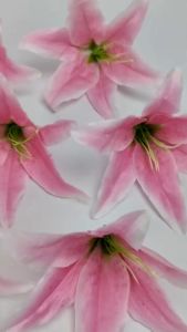 [1 PCS] Kuntuman Bunga Lily Tiger Artificial / Kelopak Lili Casablanca Artifisial Dekorasi Import untuk Rangkaian Buket dan Hiasan Dekorasi Wedding atau Pelaminan