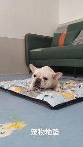 Thảm nằm cho Chó Mèo có 2 mặt bằng vải da PU (mẫu mới) - Love Pets Shop