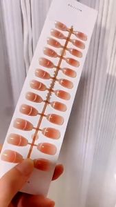 Kuku Palsu Nail Art & Lem Cat Eye Nude Opal Aesthetic Nikah Wisuda Cat Polish Kutek MY0001 COD