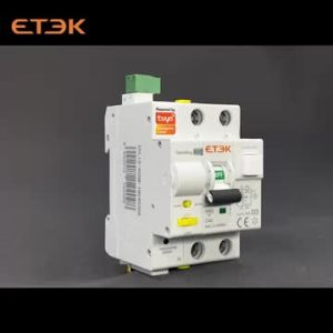 ETEK Tuya app WiFi smart RCBO 1P 2P C curve 30mA type A EKR3S