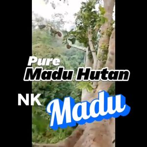 Madu Hitam Pahit Asli Sumbawa Isi 5 Kg
