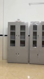 Tủ hồ sơ tài liệu có kính- tủ sắt có kiếng-tủ hồ sơ cho văn phòng trường học giao nhanh tphcm bình dương