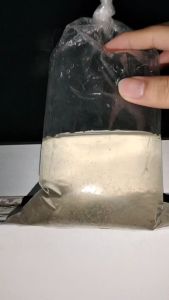 Moina Thai Starter (Live Feed) for larvae/baby fish