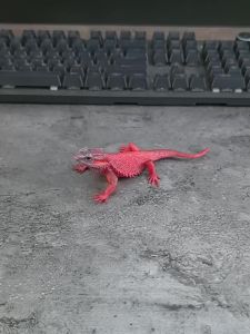 MENGSILE | Educational Display Animal Model Toy Reptile Iguana