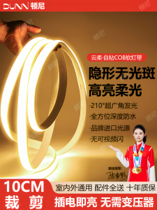 Silicone LED Strip Lights Self Adhesive Waterproof 220V Living Room Background Wall Decor Cob Light Tape Indoor Outdoor